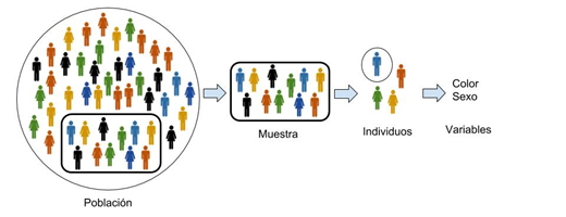 Poblacion_Muestras_Individuos_Variables